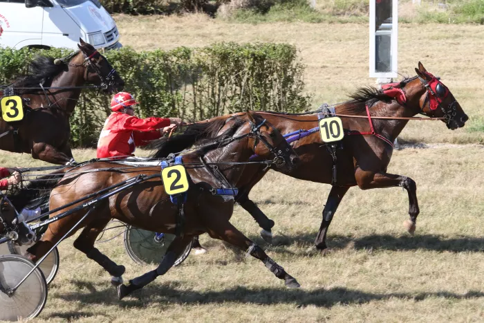 Chalons courses