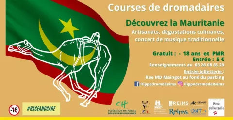 Les dromadaires et La Mauritanie